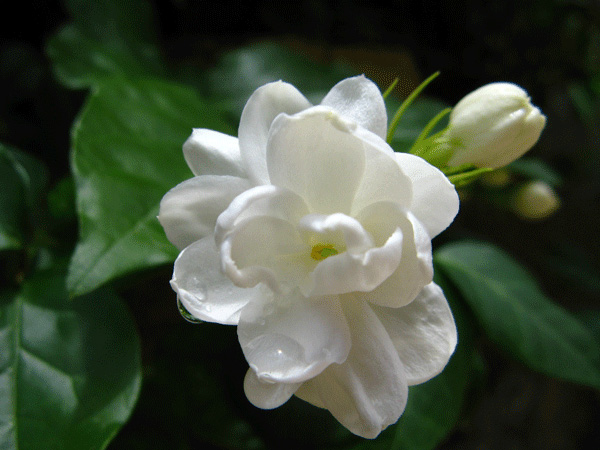 ��һ�仨�_�ĕr�g����ůһ��