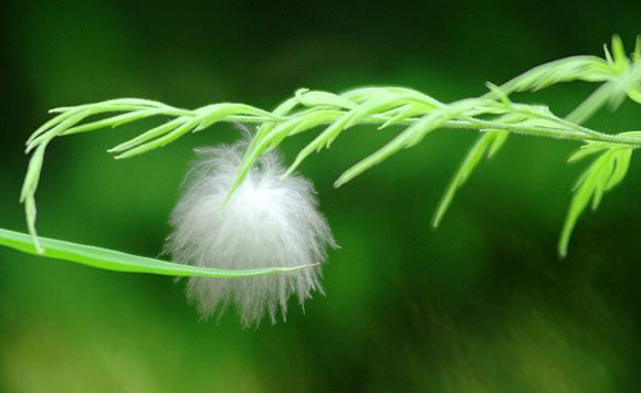 �ŗ�Ҳ��һ�N�옷