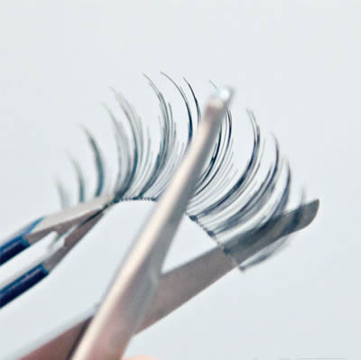 4��y�ݬF���е������~ 