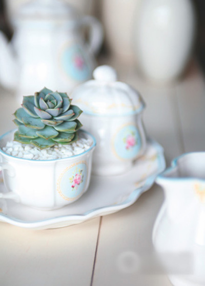 ���;ߐ��ϻ��� һ������������