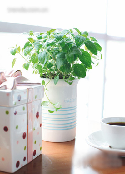 ���;ߐ��ϻ��� һ������������