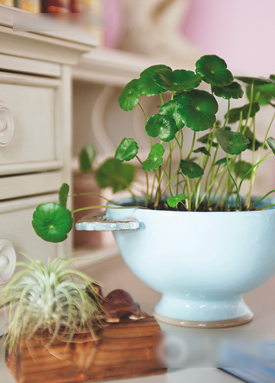 ���;ߐ��ϻ��� һ������������