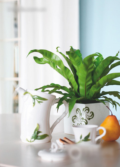 ���;ߐ��ϻ��� һ������������