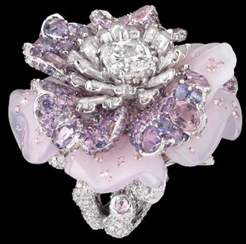 �`�ŵ��@ʯõ��