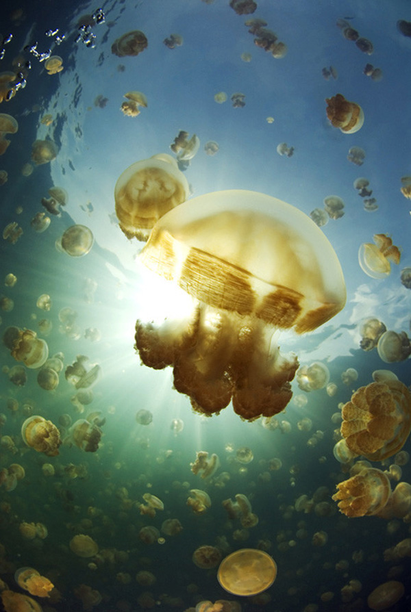 һ�M�����İ��н^��ˮ�zӰ