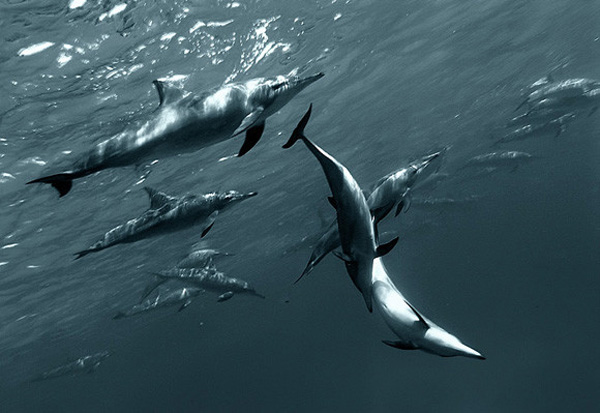 һ�M�����İ��н^��ˮ�zӰ