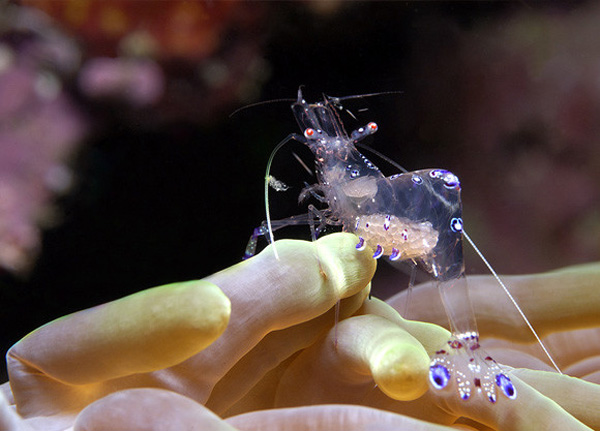 һ�M�����İ��н^��ˮ�zӰ