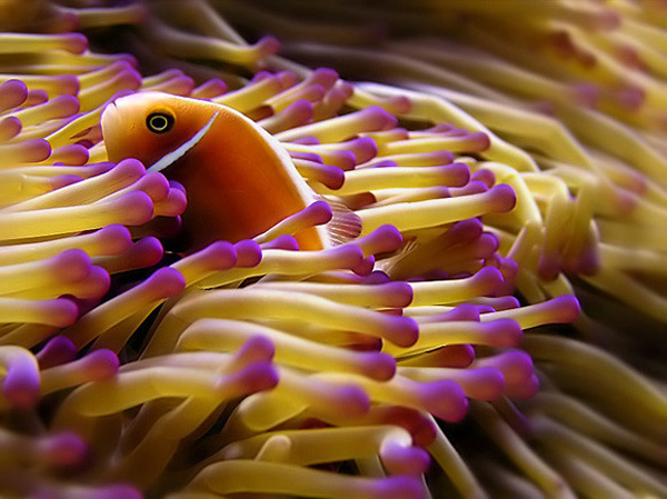 һ�M�����İ��н^��ˮ�zӰ