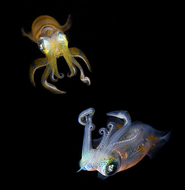 һ�M�����İ��н^��ˮ�zӰ