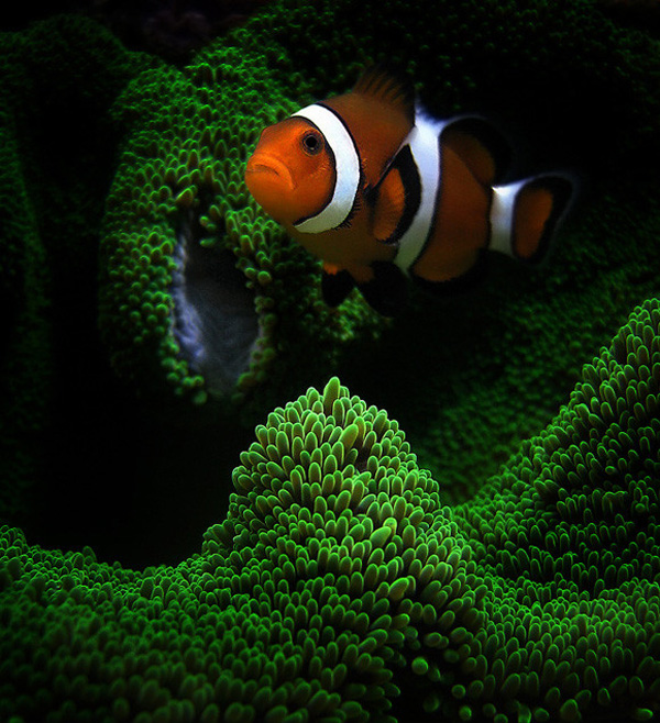 һ�M�����İ��н^��ˮ�zӰ