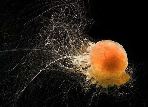 һ�M�����İ��н^��ˮ�zӰ