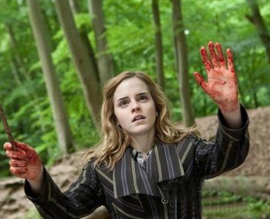 赫敏成長記魔法十年祭青春