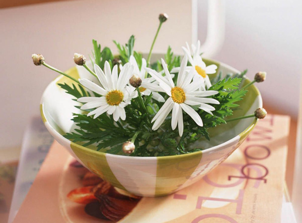 �t�mһ����ǧ�꣬��įһ�������