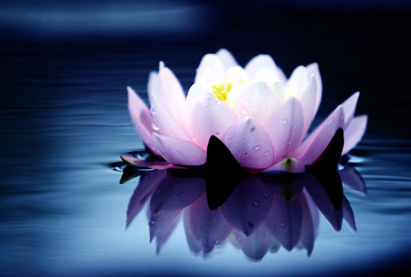 �t�m��������ۻ���