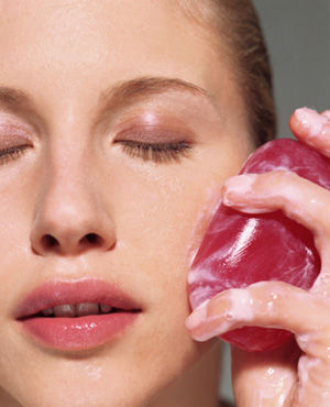 �ֹ����������݆�