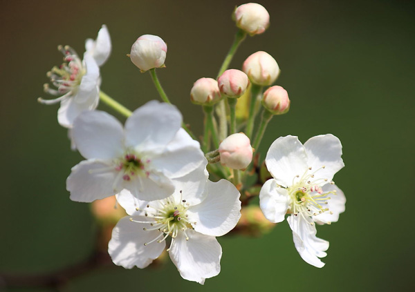 �ع{���p����İ�ϻ�