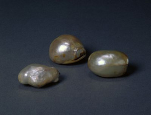 ��m�����������A���錚���