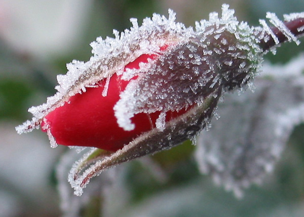 �����䴰�_��һƬ�t��������