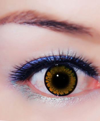 ʮ�������ۊy���˰� �𺳵�ꑾW�j