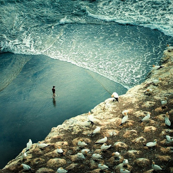 ��Ԋ�㌎�o �����m�zӰ���ľG��