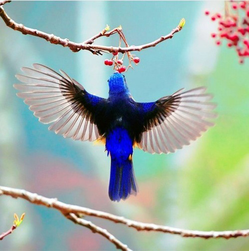 �������B ��ŭ��С�BҲ���^���