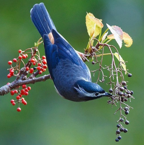 �������B ��ŭ��С�BҲ���^���