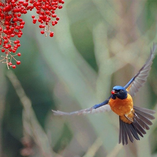 �������B ��ŭ��С�BҲ���^���