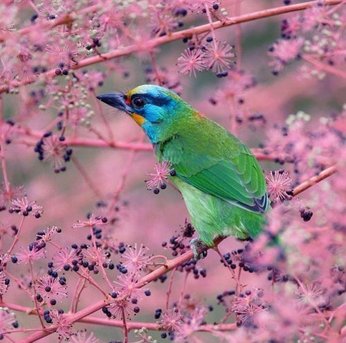 �������B ��ŭ��С�BҲ���^���