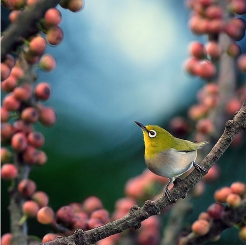 �������B ��ŭ��С�BҲ���^���