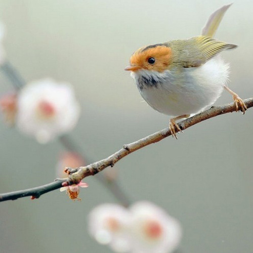 �������B ��ŭ��С�BҲ���^���