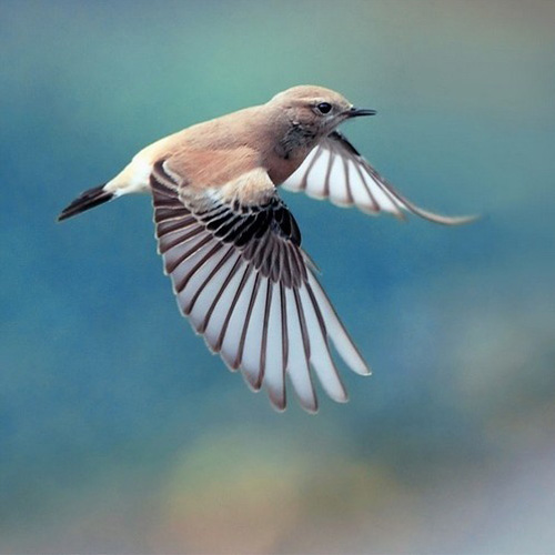 �������B ��ŭ��С�BҲ���^���