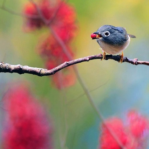 �������B ��ŭ��С�BҲ���^���