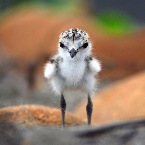 �������B ��ŭ��С�BҲ���^���