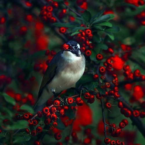 �������B ��ŭ��С�BҲ���^���