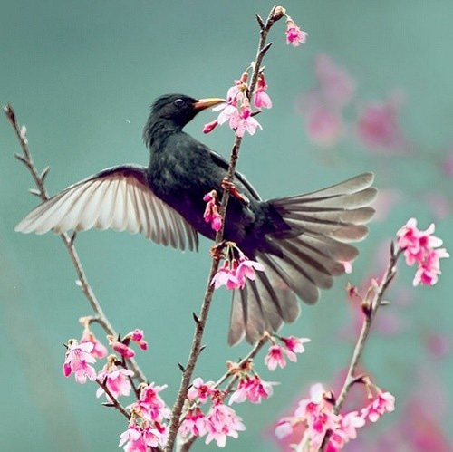 �������B ��ŭ��С�BҲ���^���