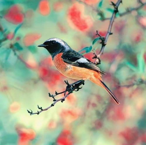 �������B ��ŭ��С�BҲ���^���