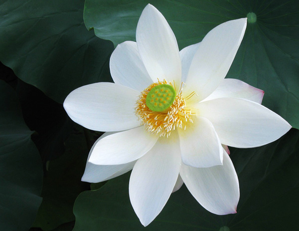 �A����ů���t�m����