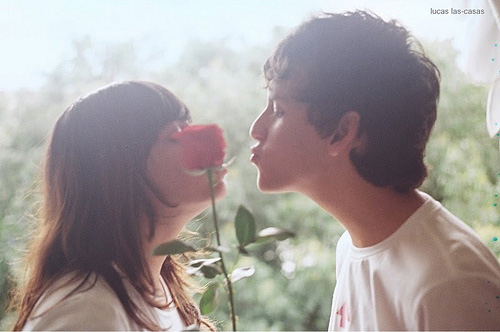 �t�����y��֪����