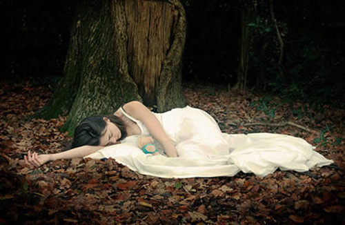 �Ă��~�����V�����������x