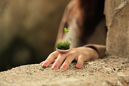 ��^���]Ҋ�Ą�(chu��ng)���մ����