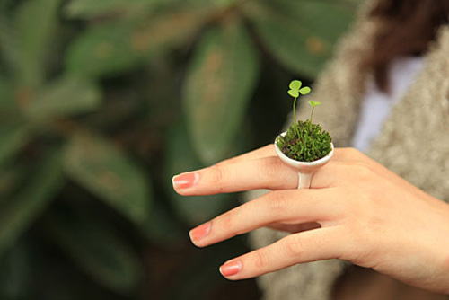 ��^���]Ҋ�Ą�(chu��ng)���մ����