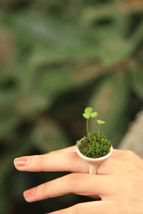 ��^���]Ҋ�Ą�(chu��ng)���մ����