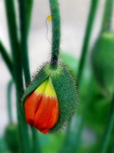 �����ˣ���ǂb�c����I