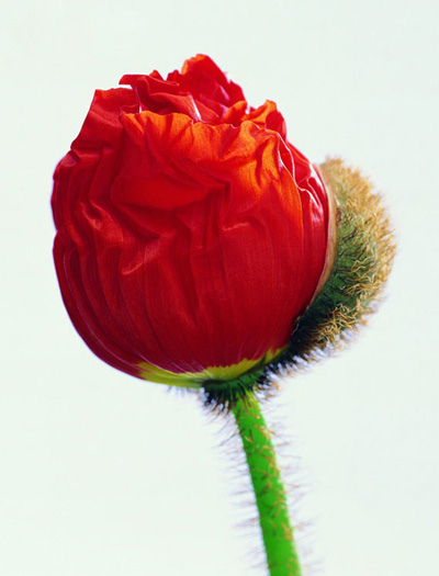 �����ˣ���ǂb�c����I