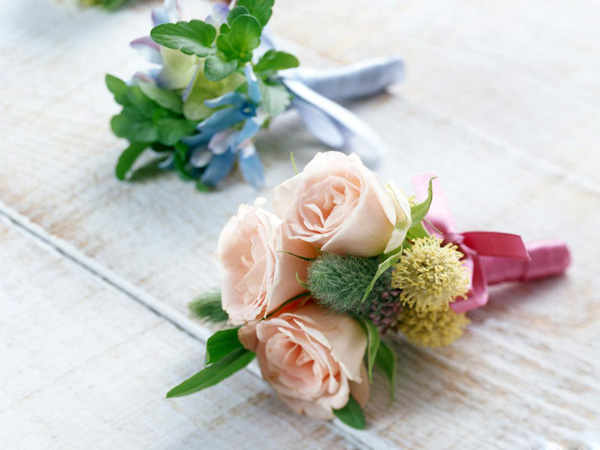 �������� ��������ϧ