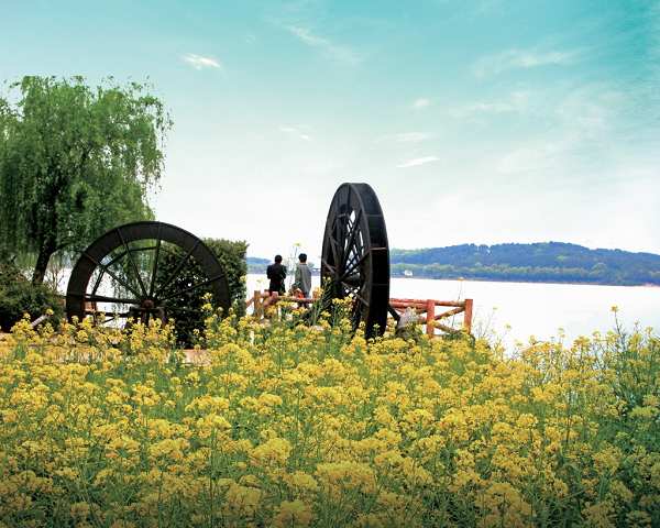 �Ϻ���߅���ξ��c���]