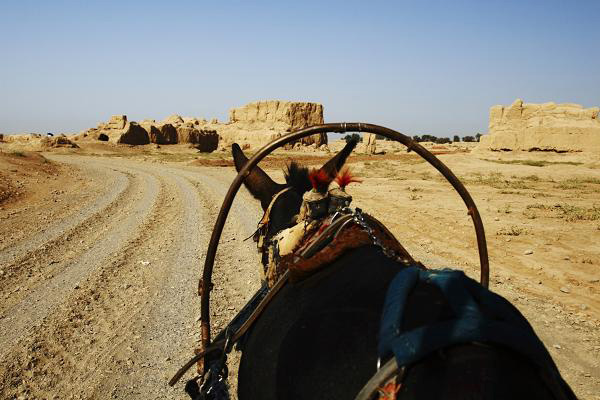 ������܇ȥ���У�Ʒ��ǧ��z·����