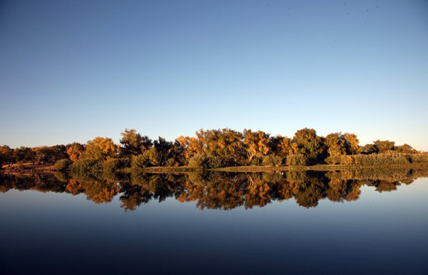 ������܇ȥ���У�Ʒ��ǧ��z·����