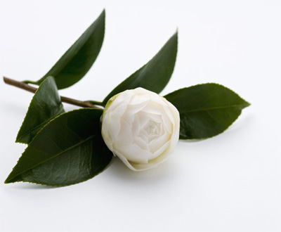 ���ڝu�h������˼��