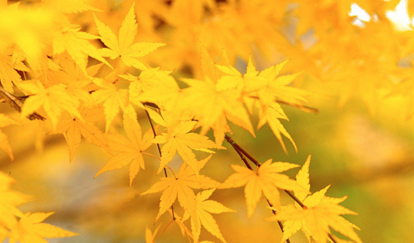 �����������h��